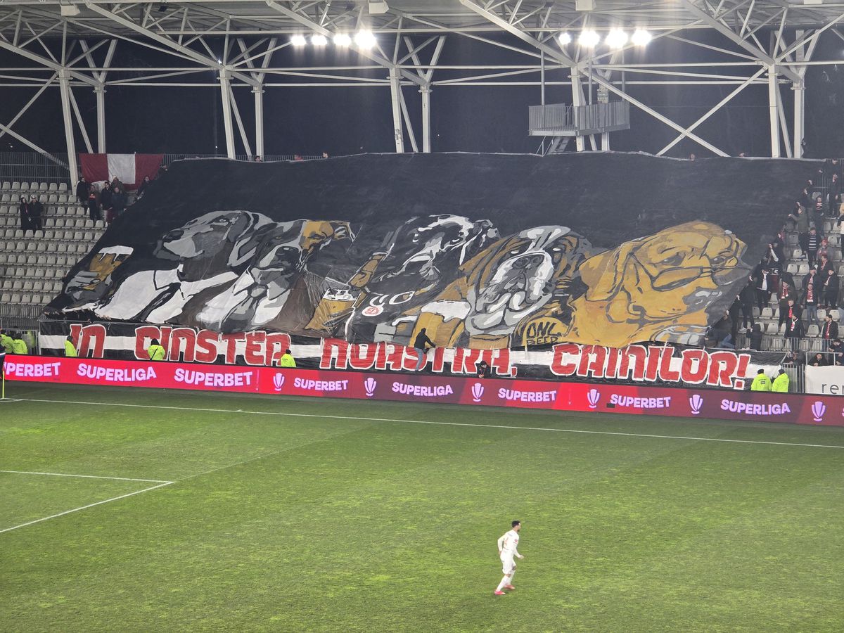 Spectacol în Dinamo - Hermannstadt! » Trei scenografii BLITZ afișate de ultrași în 5 minute: „În cinstea noastră, câinilor”