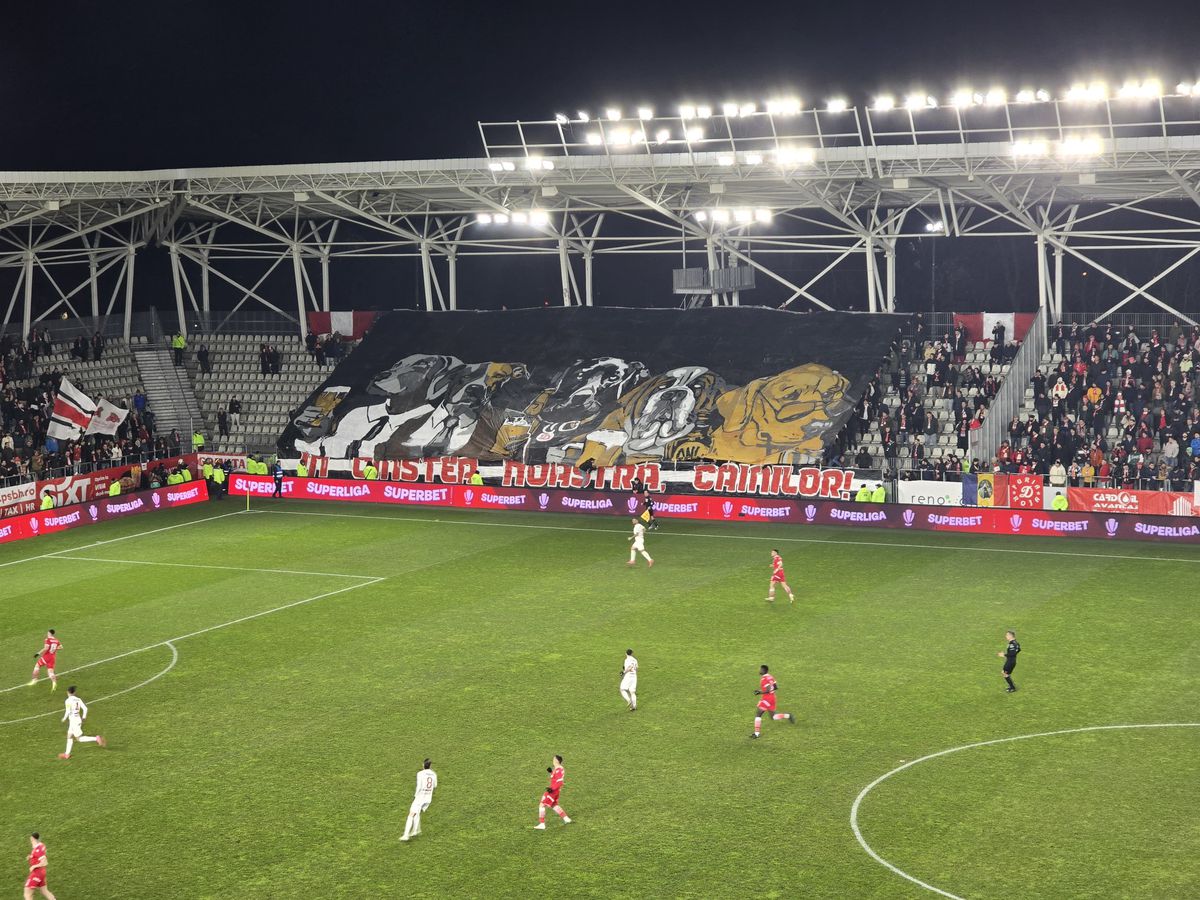 Dinamo - Hermannstadt, imagini din timpul partidei