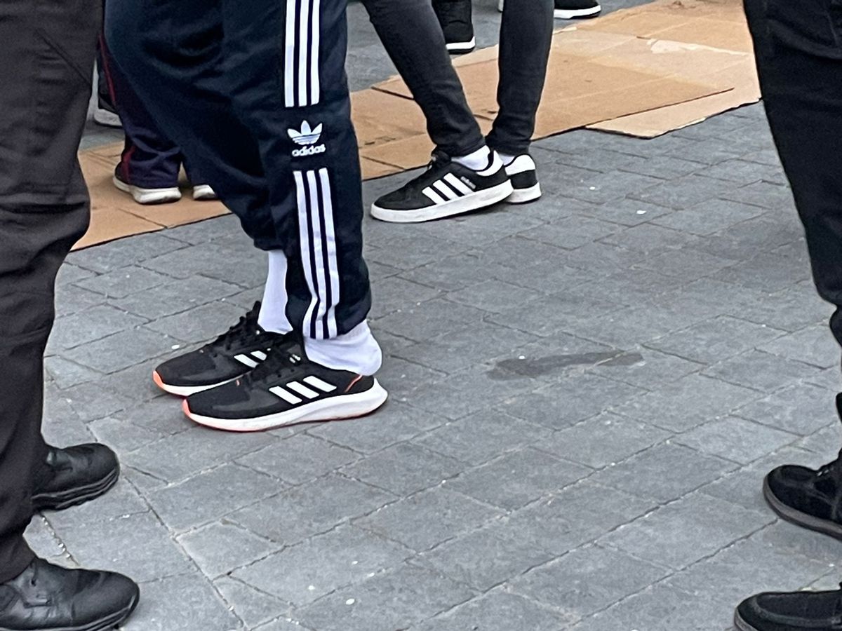 Sepsi - FCSB, suporteri