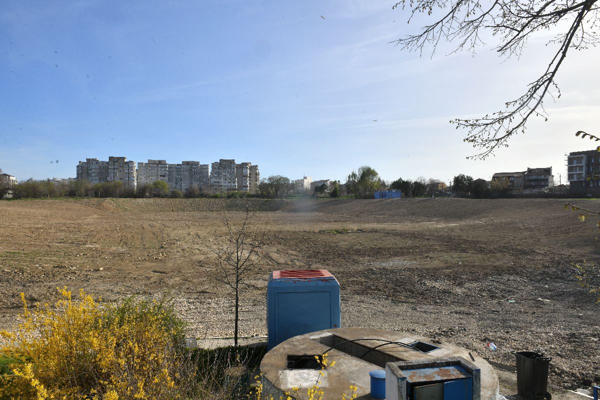 Șantierul noului stadion Farul s-a transformat într-o junglă urbană, unde șobolanii mișună în voie » Ce se întâmplă cu arena? Vestea de ultimă oră anunțată de Gică Popescu
