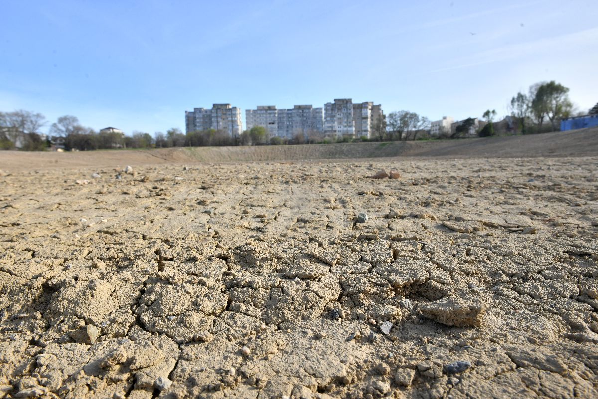 Șantierul noului stadion Farul s-a transformat într-o junglă urbană, unde șobolanii mișună în voie » Ce se întâmplă cu arena? Vestea de ultimă oră anunțată de Gică Popescu