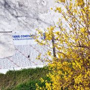 Imagini surprinse de fotoreporterul Gazetei pe șantierul stadionului din Constanța / FOTO: Cristi Preda