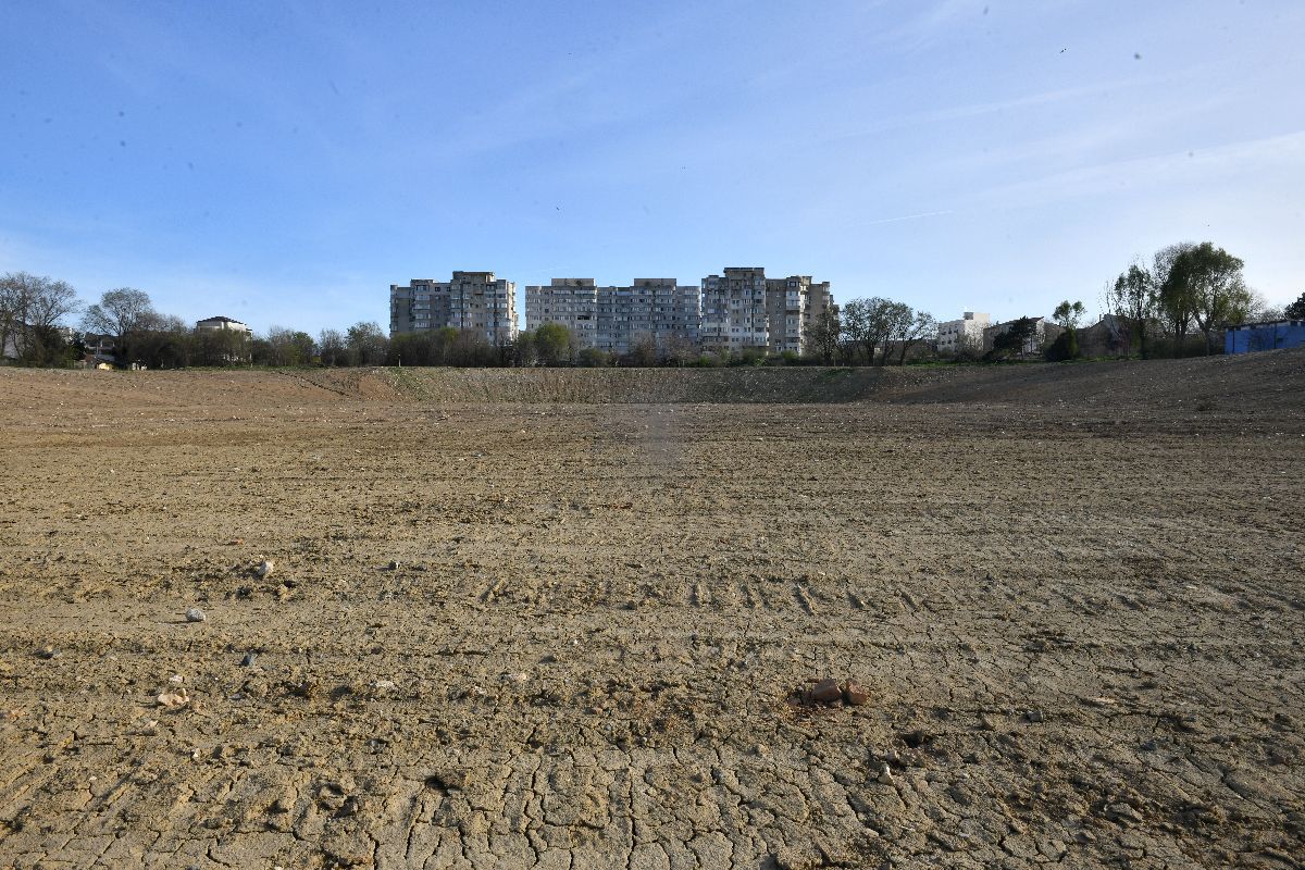 Șantierul noului stadion Farul s-a transformat într-o junglă urbană, unde șobolanii mișună în voie » Ce se întâmplă cu arena? Vestea de ultimă oră anunțată de Gică Popescu