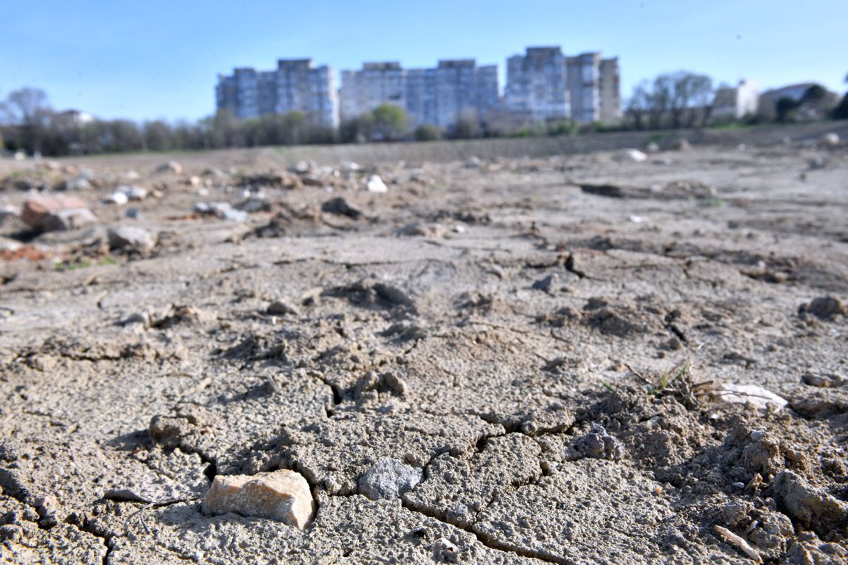 Pescărușii așteaptă muncitorii » Gazeta a vizitat șantierul stadionului de 100 de milioane de euro din România: care-i situația astăzi