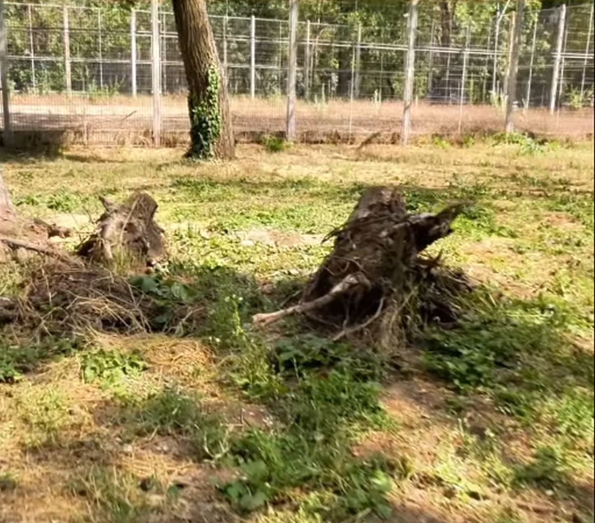 Baza „Cireșarii” din Sectorul 1