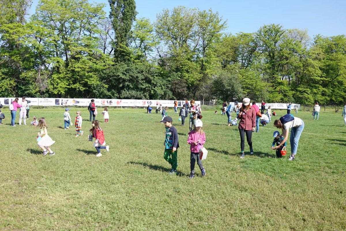 Baza „Cireșarii” din Sectorul 1
