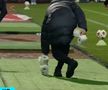 Fanii lui FC Botoșani au aruncat cu hârtie igienică în Rădoi / FOTO: Captură TV @Digi Sport 1