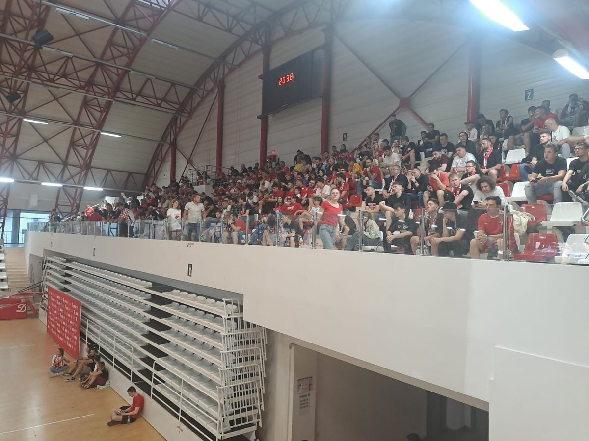 Fanii „câinilor” urmăresc FC Argeș - Dinamo în sala din Ștefan cel Mare