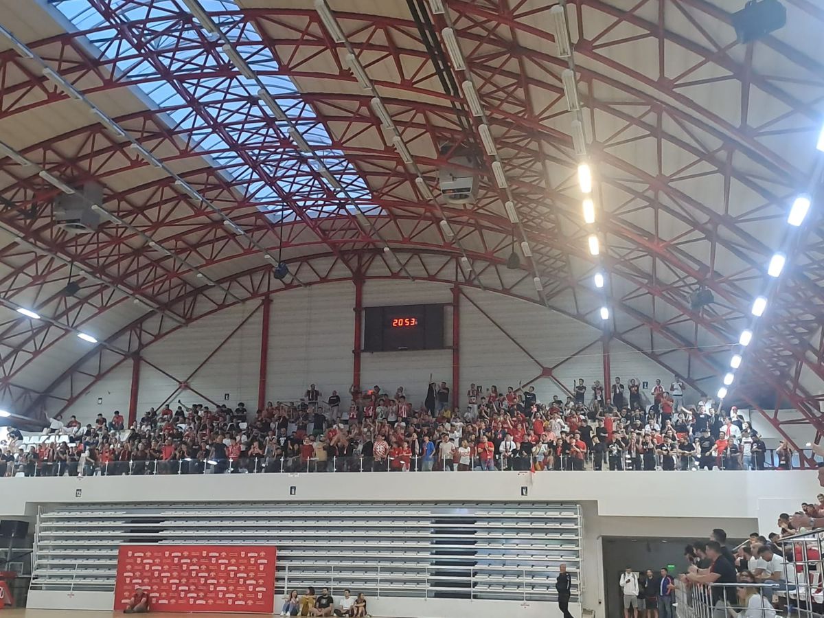Fanii „câinilor” urmăresc FC Argeș - Dinamo în sala din Ștefan cel Mare