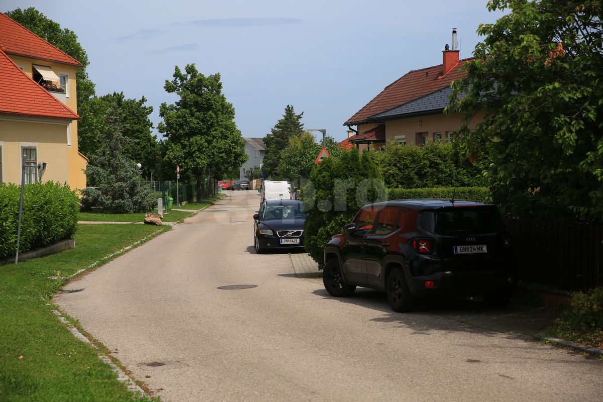 Günselsdorf, oraşul din Austria în care a trăit Călin Georgescu