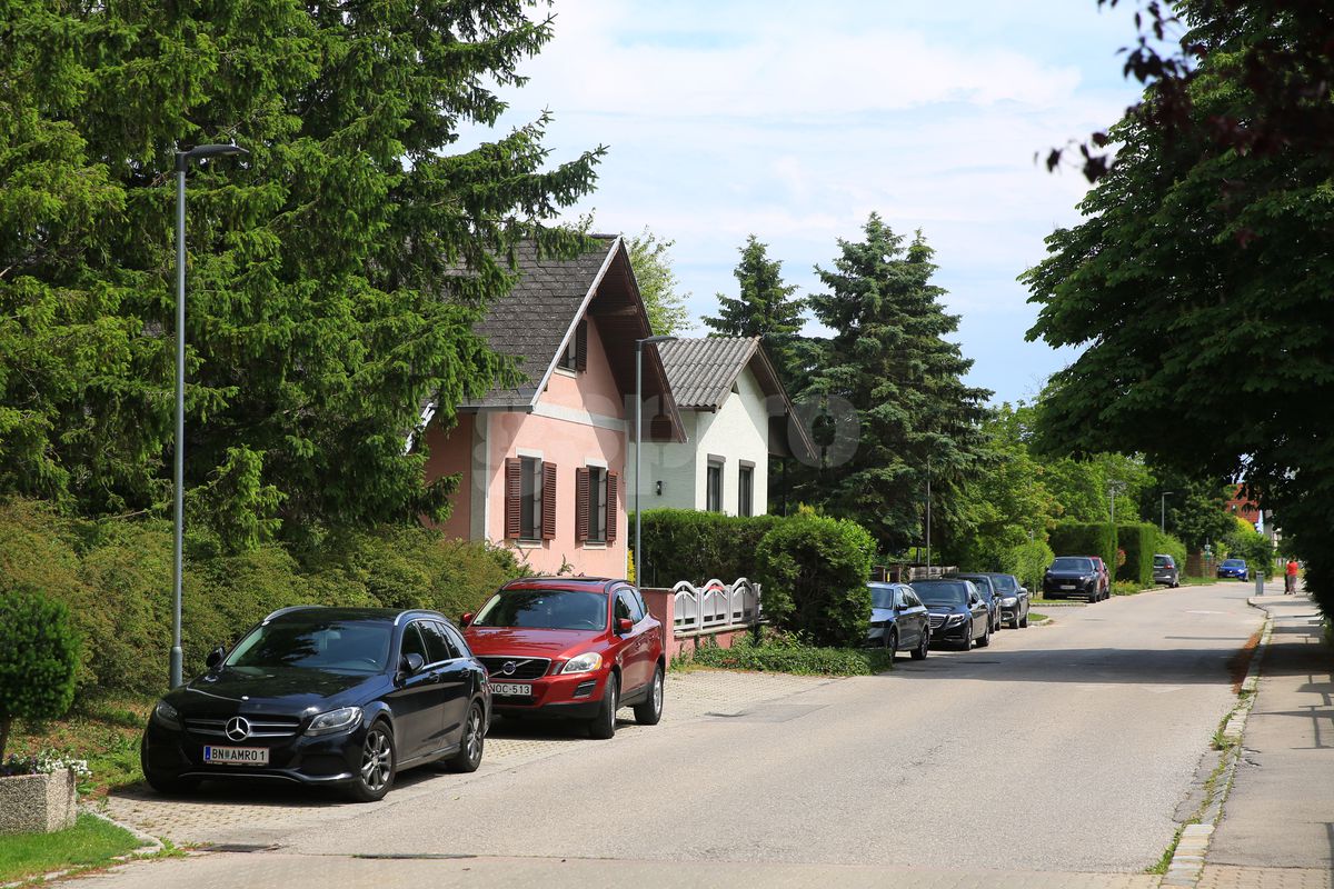 Günselsdorf, oraşul din Austria în care a trăit Călin Georgescu