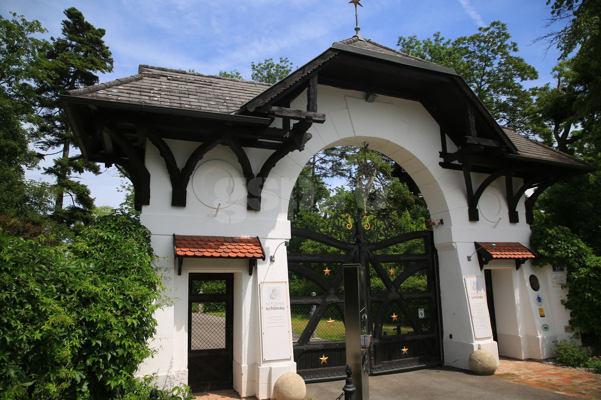 Günselsdorf, oraşul din Austria în care a trăit Călin Georgescu