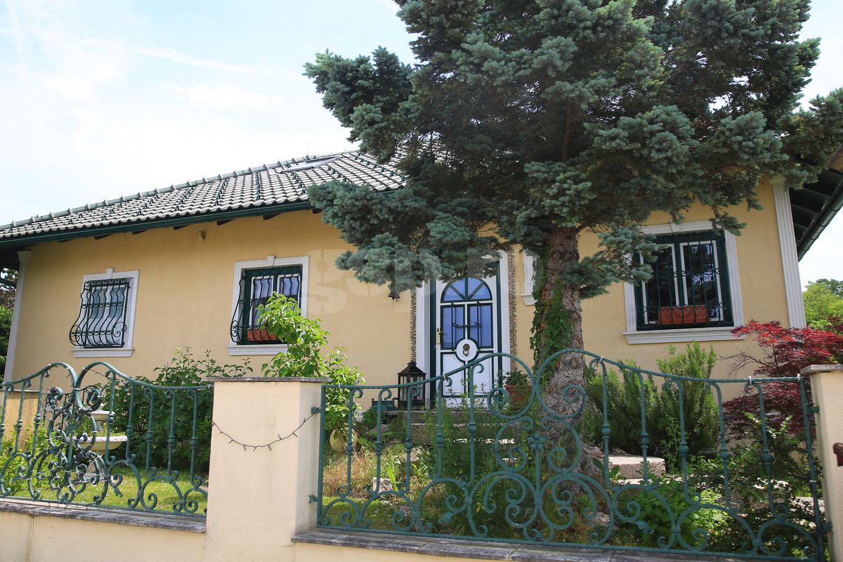 Günselsdorf, oraşul din Austria în care a trăit Călin Georgescu