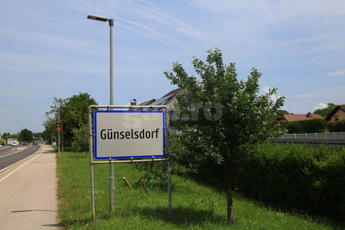 Günselsdorf, oraşul din Austria în care a trăit Călin Georgescu