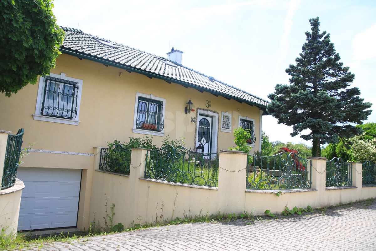 Günselsdorf, oraşul din Austria în care a trăit Călin Georgescu