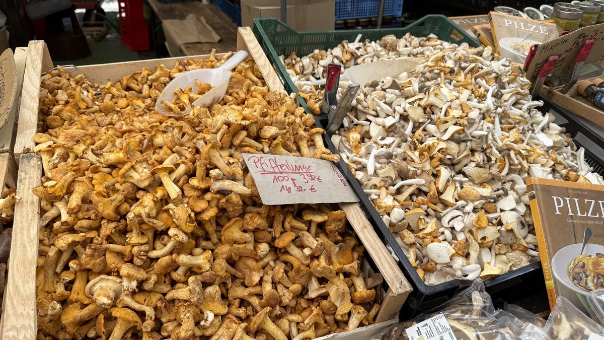 Cât de scumpă e viața în Austria? Reportaj GSP din țara aflată în topul Uniunii Europene ca putere de cumpărare, unde nu există salariu minim