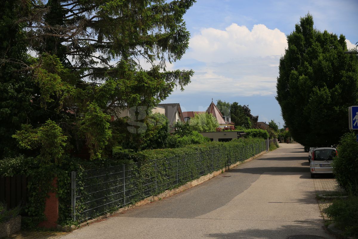 Günselsdorf, oraşul din Austria în care a trăit Călin Georgescu