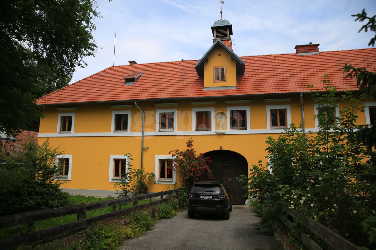 Günselsdorf, oraşul din Austria în care a trăit Călin Georgescu