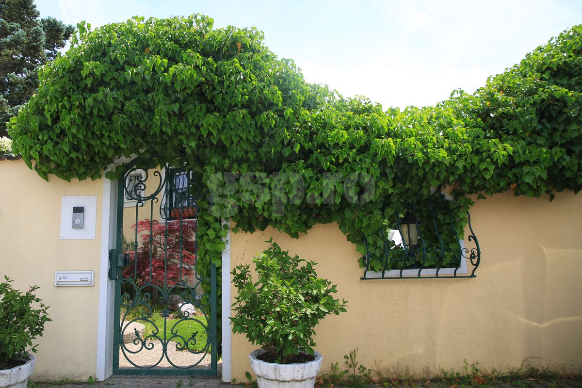 Günselsdorf, oraşul din Austria în care a trăit Călin Georgescu