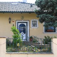 Casa din Günselsdorf unde a locuit Călin Georgescu FOTO: Ionuţ Iordache (GSP)