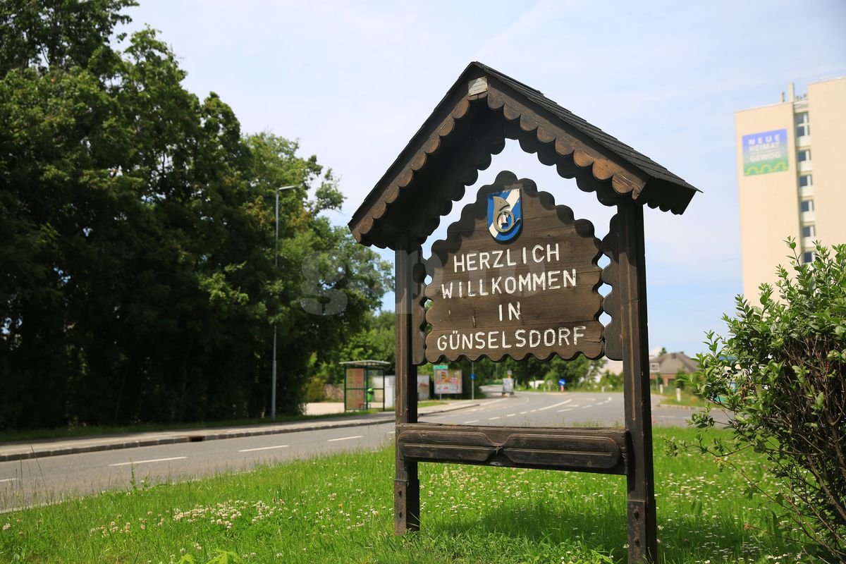 Günselsdorf, oraşul din Austria în care a trăit Călin Georgescu