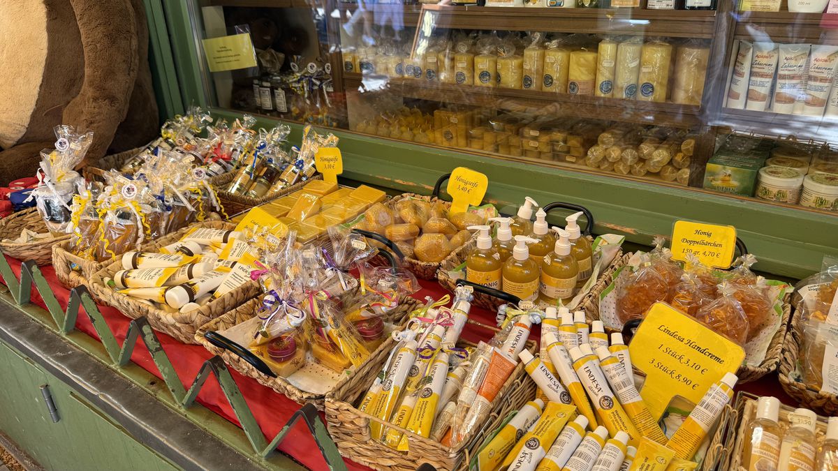 Cât de scumpă e viața în Austria? Reportaj GSP din țara aflată în topul Uniunii Europene ca putere de cumpărare, unde nu există salariu minim