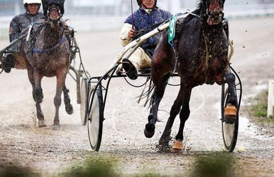 UPDATE Jandarmeria Prahova luată la țintă fiindcă a blocat cea mai importantă cursă hipică a României: „Îi dăm în judecată pentru abuz în serviciu” + reacția Jandarmeriei