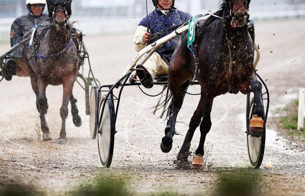 UPDATE Jandarmeria Prahova luată la țintă fiindcă a blocat cea mai importantă cursă hipică a României: „Îi dăm în judecată pentru abuz în serviciu” + reacția Jandarmeriei