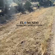 Imagini de la locul accidentului în care a murit Diogo Jota. FOTO: dailymotion.com