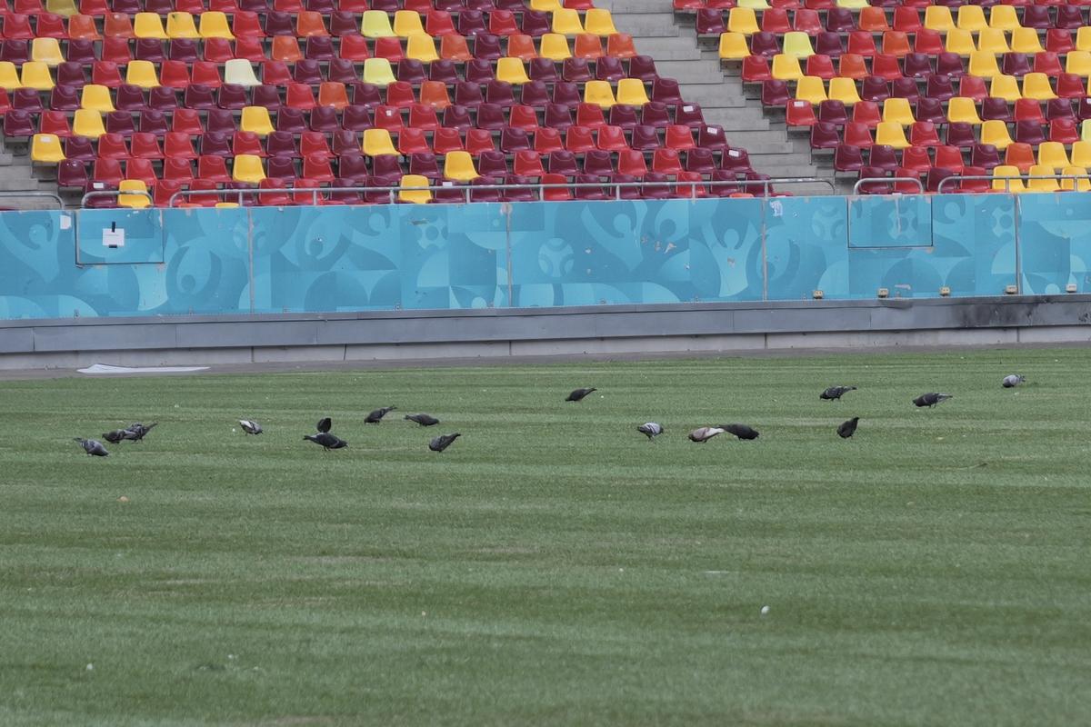 Dezastru total pe Arena Națională! » Cel mai mare stadion al țării a fost inundat de furtună: lifturile sunt inundate și blocate, iar gazonul e distrus