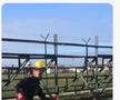 A început furtuna » Cele mai tari meme-uri după penalty-urile hilare din Australia - Egipt