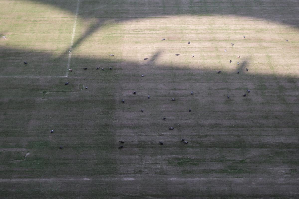 Dezastru total pe Arena Națională! » Cel mai mare stadion al țării a fost inundat de furtună: lifturile sunt inundate și blocate, iar gazonul e distrus