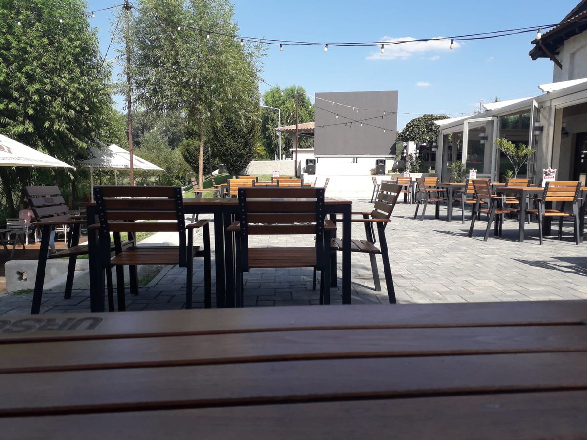 EXCLUSIV Încă un caz de coronavirus la Craiova » Antrenorul Cristiano Bergodi a fost confirmat pozitiv și va fi internat