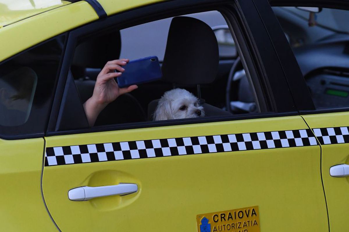 EXCLUSIV Încă un caz de coronavirus la Craiova » Antrenorul Cristiano Bergodi a fost confirmat pozitiv și va fi internat