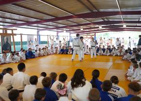 Spectacol pe tatami la Pantheon Judo Stage