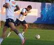 Primul antrenament al tricolorilor sub comanda lui Mircea Lucescu / Foto: FRF.ro