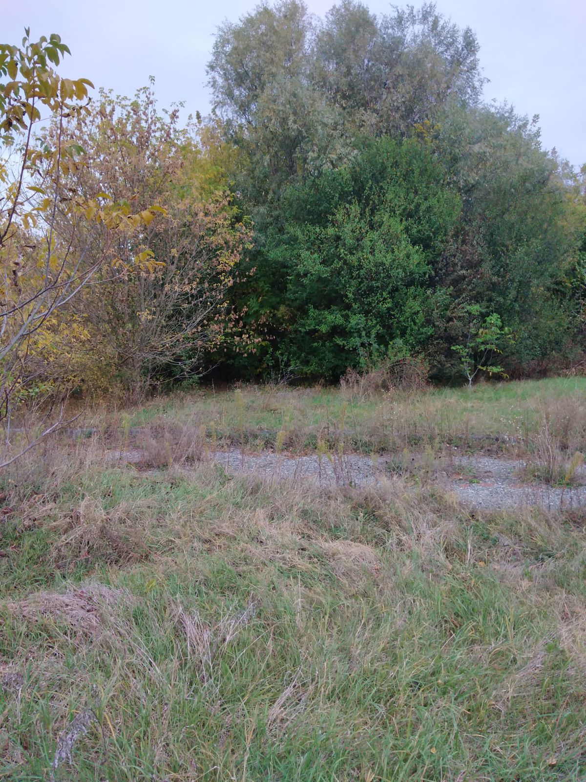 Investiția lui Dan Șucu e gata » Baza de 5,5 milioane de euro a Rapidului poate fi folosită la un an de la începerea lucrărilor