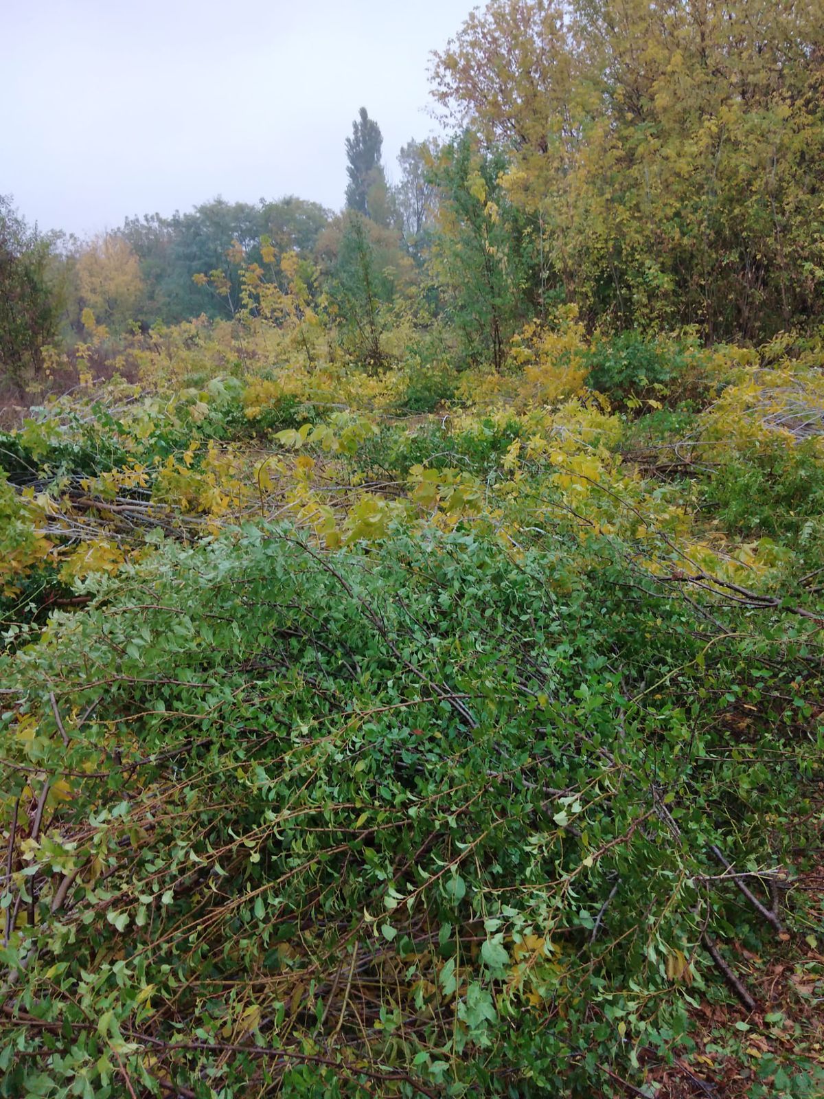 Investiția lui Dan Șucu e gata » Baza de 5,5 milioane de euro a Rapidului poate fi folosită la un an de la începerea lucrărilor