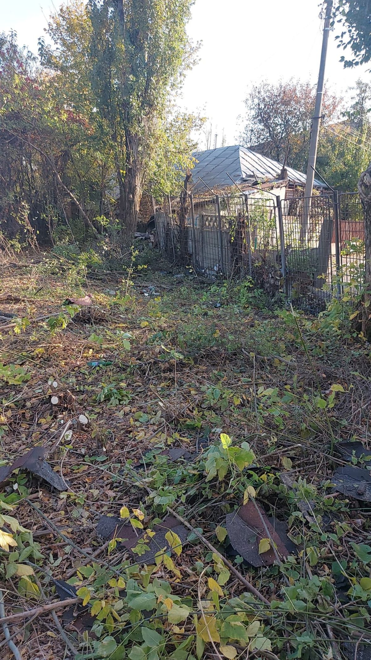 Dan Șucu, mândru de noua bază a Rapidului: „Este de departe cel mai bun teren din țară”