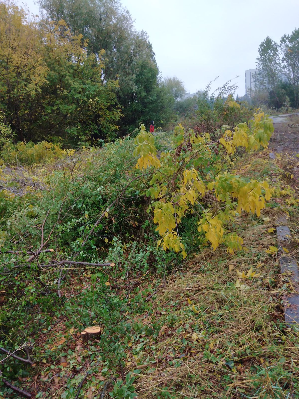 Dan Șucu, mândru de noua bază a Rapidului: „Este de departe cel mai bun teren din țară”