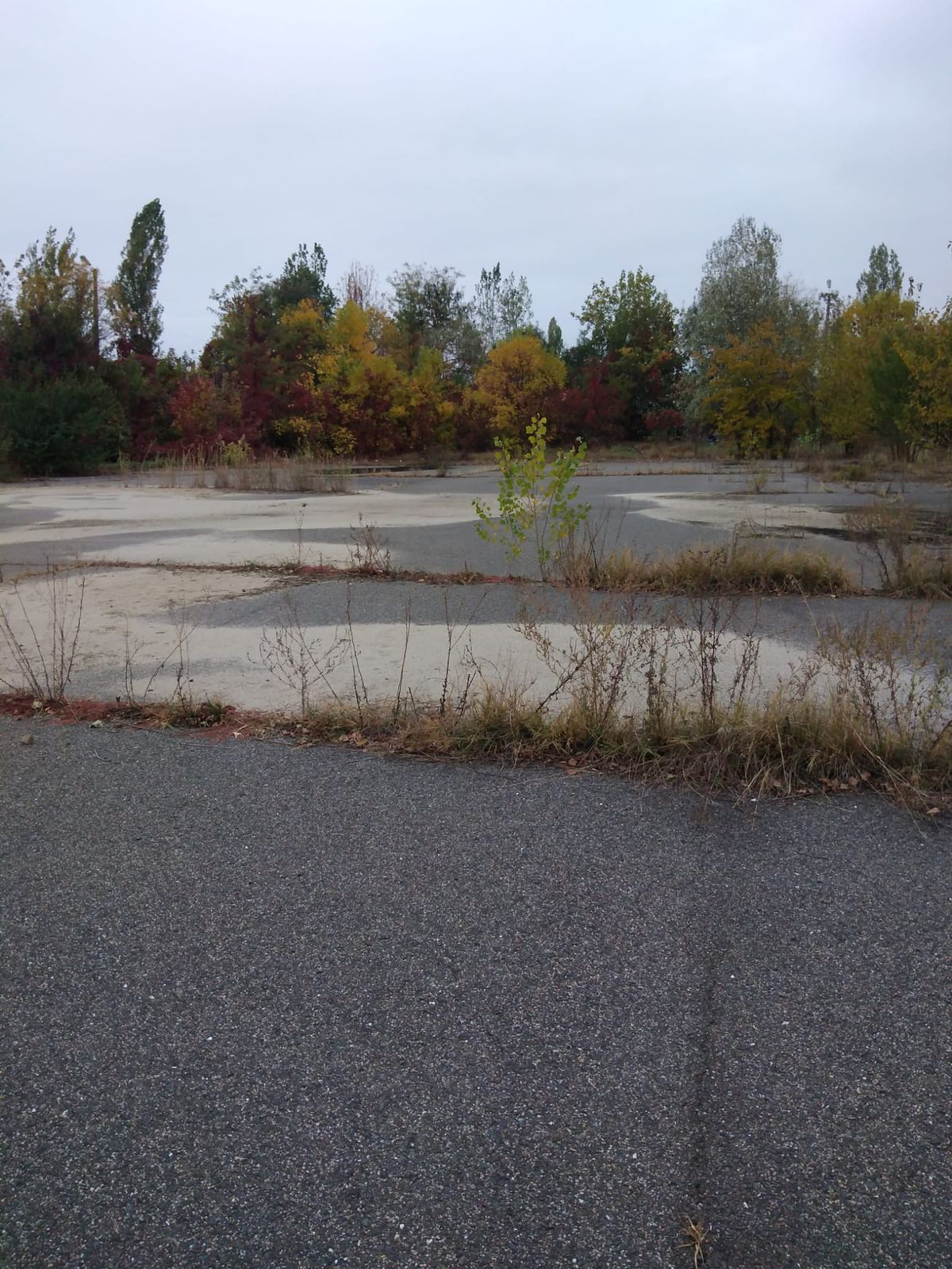 Investiția lui Dan Șucu e gata » Baza de 5,5 milioane de euro a Rapidului poate fi folosită la un an de la începerea lucrărilor