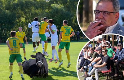 Derby-ul Chișinăului s-a jucat printre vaci și bolizi, sub privirile reporterilor GSP » Un antrenor român, insider pentru echipa națională