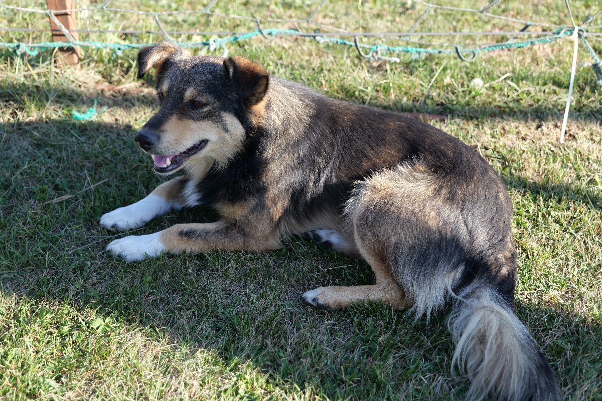 Politehnica UTM - Zimbru, Derby-ul Chișinăului, jucat la țară