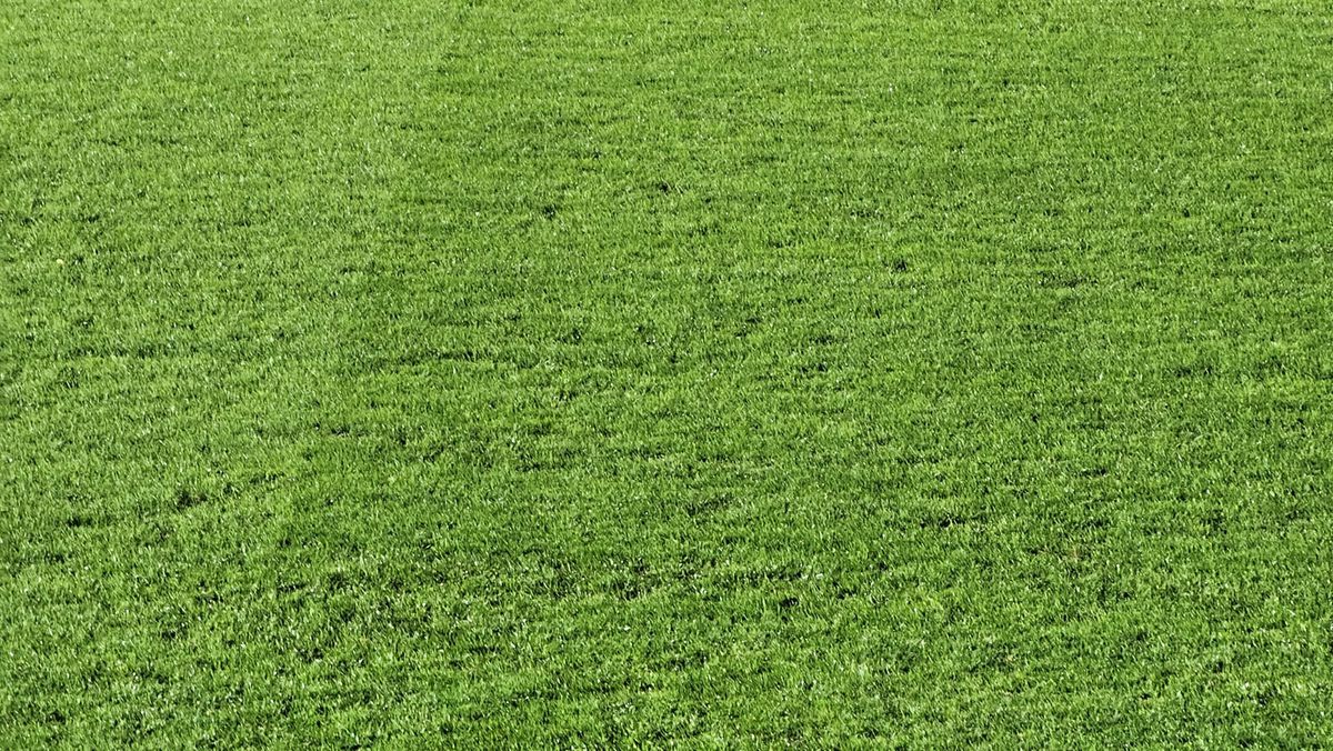 Imagini de la FC Bihor - Dinamo