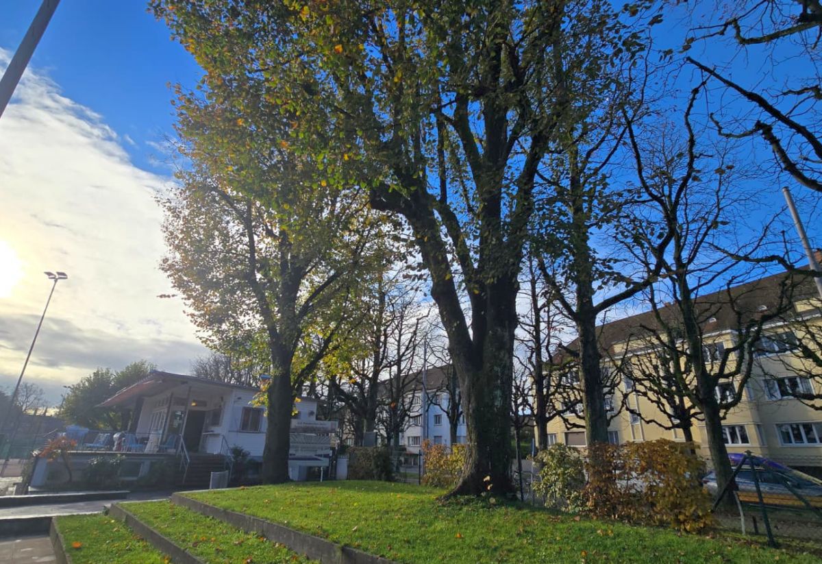 Până la FCSB, Federer! » Reporterii GSP, incursiune în Basel pe urmele legendei tenisului: ce am descoperit în clubul unde „Swiss Maestro” s-a perfecționat