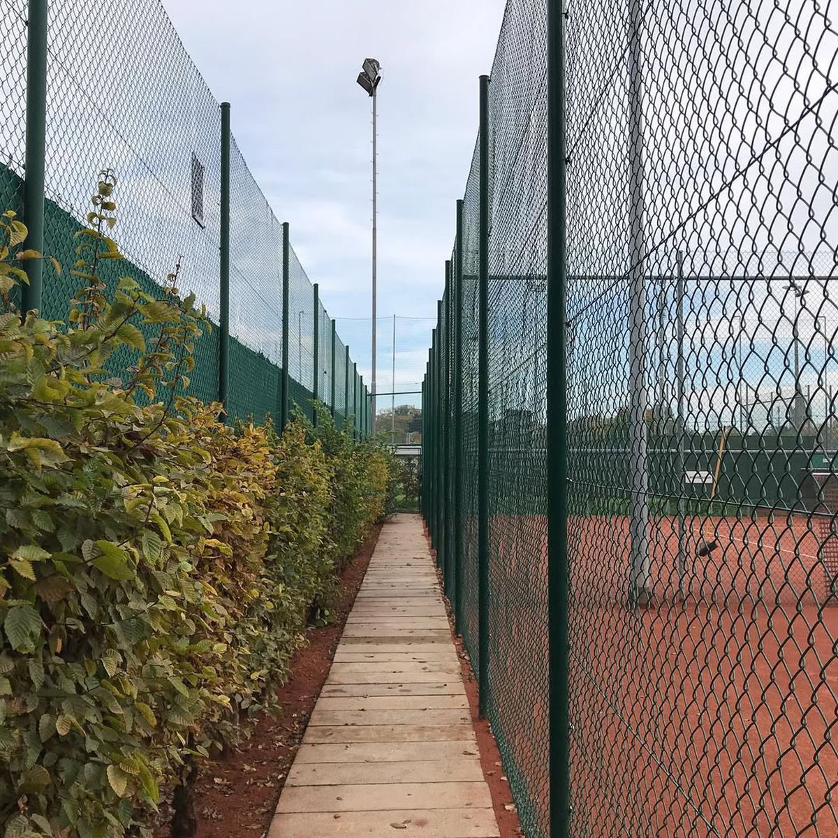 Până la FCSB, Federer! » Reporterii GSP, incursiune în Basel pe urmele legendei tenisului: ce am descoperit în clubul unde „Swiss Maestro” s-a perfecționat