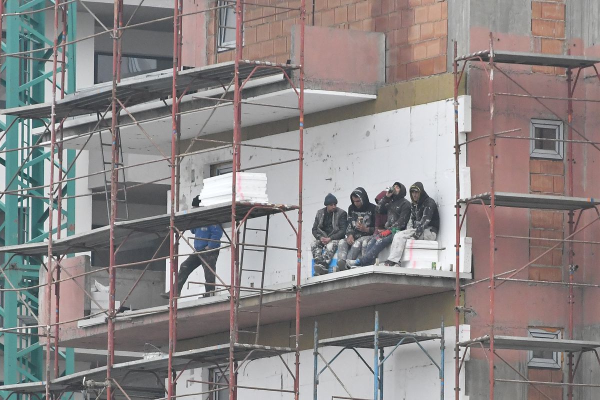 FC Brașov - Dinamo // 3 decembrie 2022