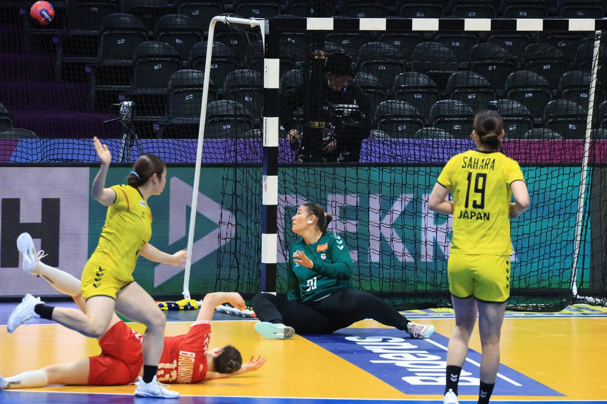 Japonia - Elveția, Campionatull Mondial de handbal feminin