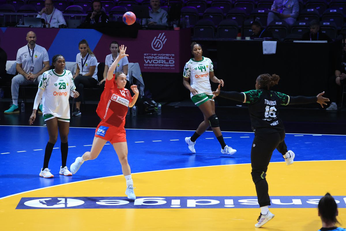 Imagine de la meciul Danemarca - Senegal