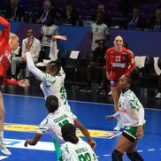 Imagini de la meciul Danemarca - Senegal FOTO: Ionuţ Iordache (GSP)